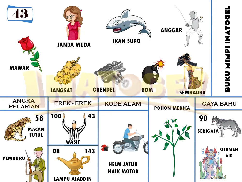 buku mimpi erek erek togel 43